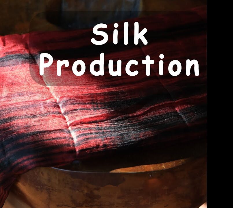 Exploring Silk Production in Vietnam [Video]